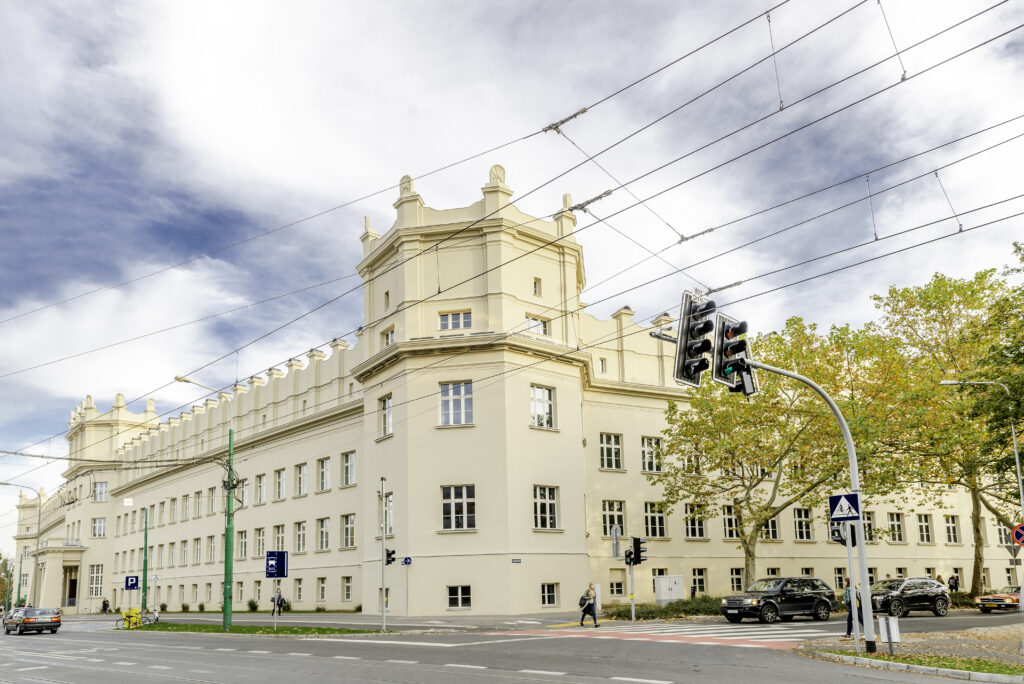 Zdjęcie w galerii